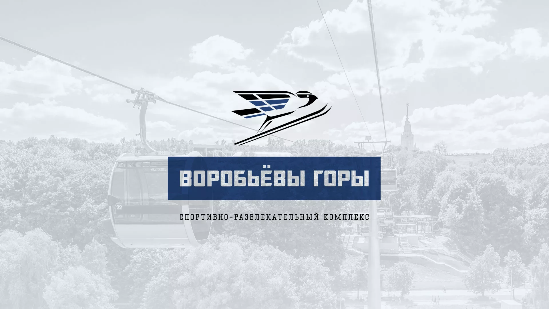 Разработка сайта в Судогде для спортивно-развлекательного комплекса «Воробьёвы горы»