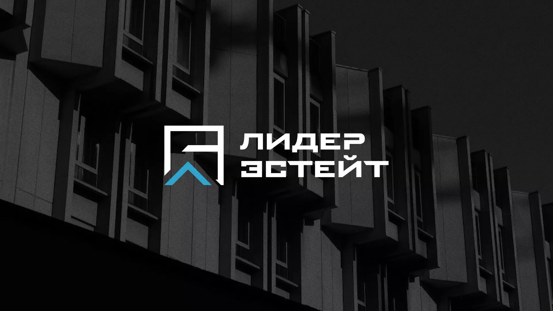 Разработка логотипа агентства недвижимости «Лидер Эстейт» в Судогде