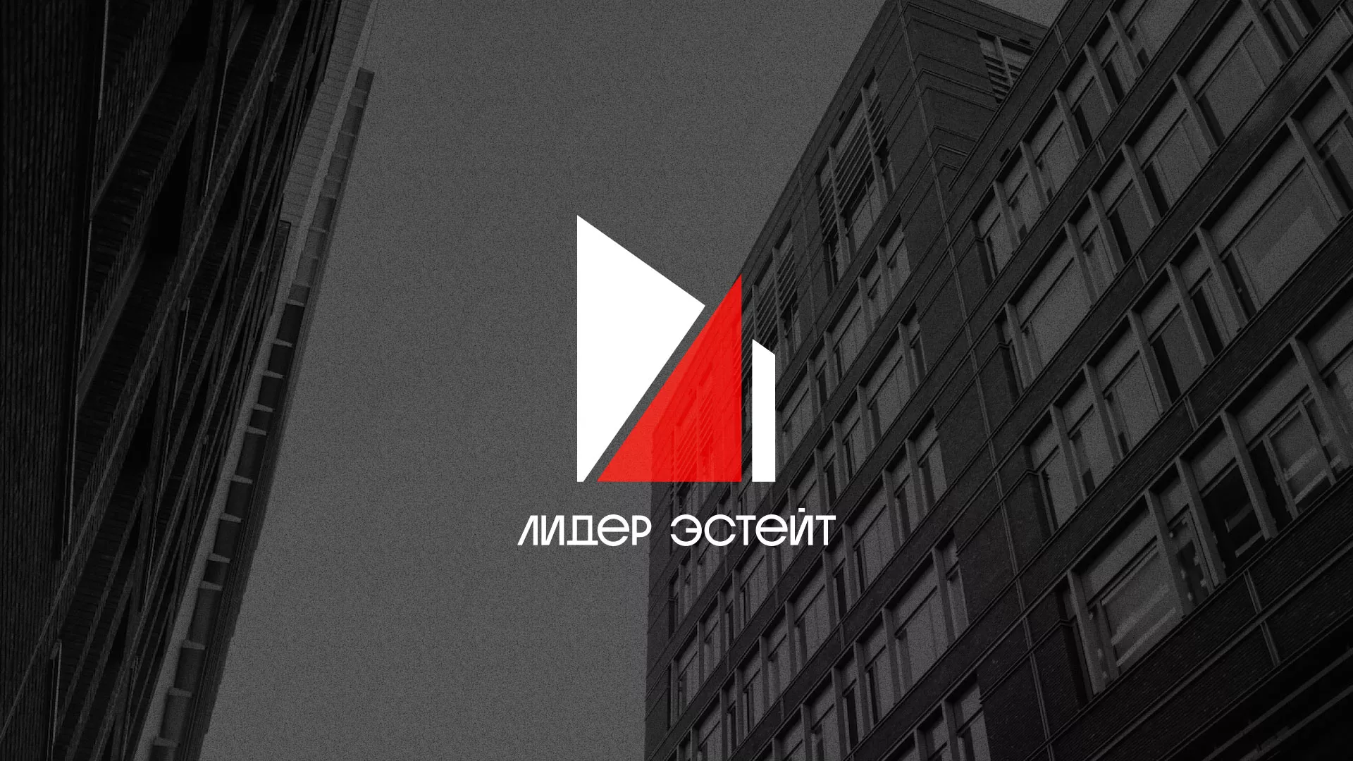 Сделали логотип для агентства недвижимости «Лидер Эстейт» в Судогде